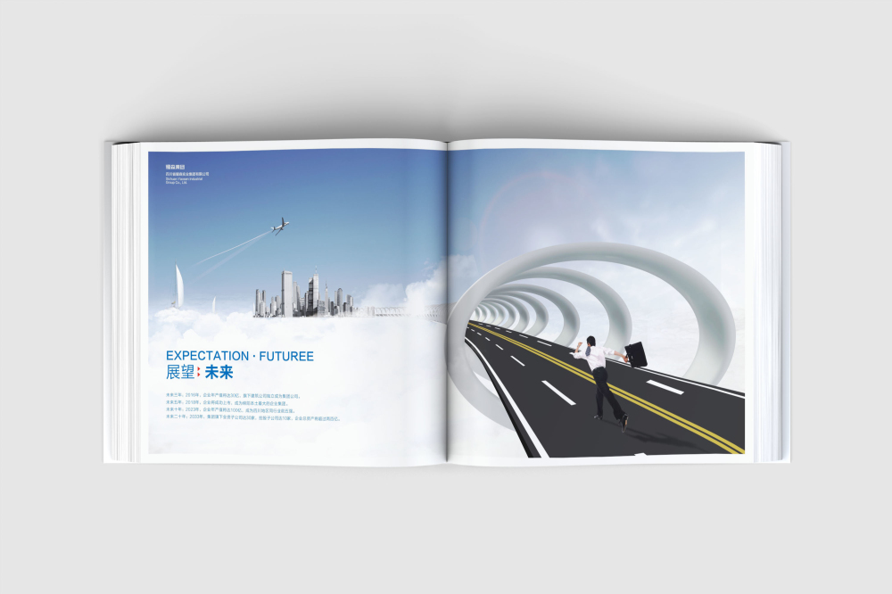 清河门区画册设计